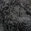 Black Crushed Velvet