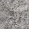 Silver Glitz 