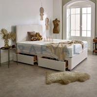 Rapyal Sleep New Teddy Tropez Divan Bed Set With 10" Luxury Mattress & 24" Matching Headboard